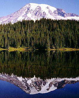 reflection of light in water